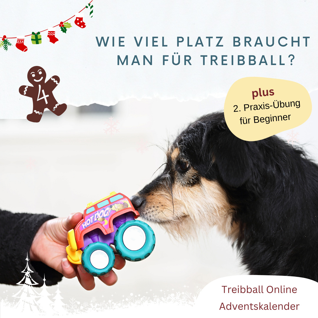 Adventskalender Tuerchen 4 - zweite Uebung