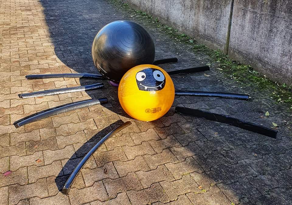 Die Treibball Spinne