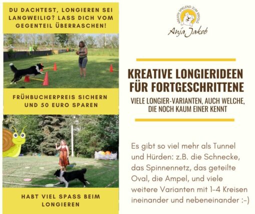 Kreative Longierideen für Fortgeschrittene - Selbstlernkurs
