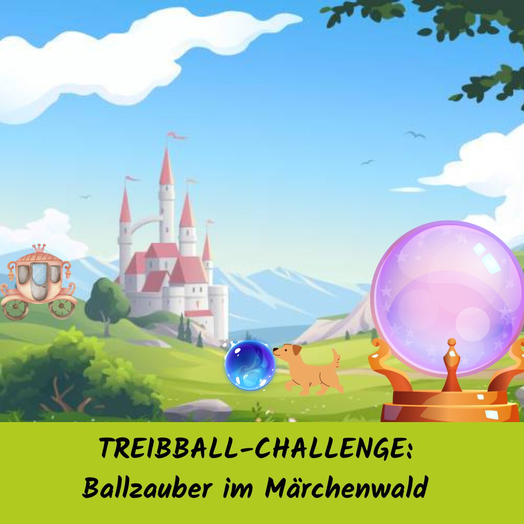 Treibball-Challenge Ballzauber im Märchenwald