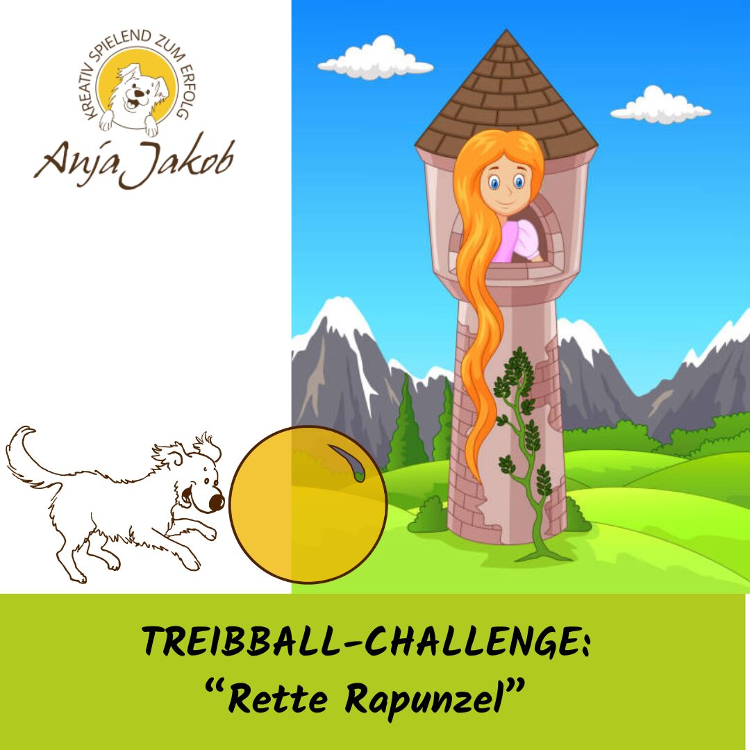 Treibball-Challenge - Rette Rapunzel Ausschreibung gratis Schnupperkurs Impulskontrollspiele