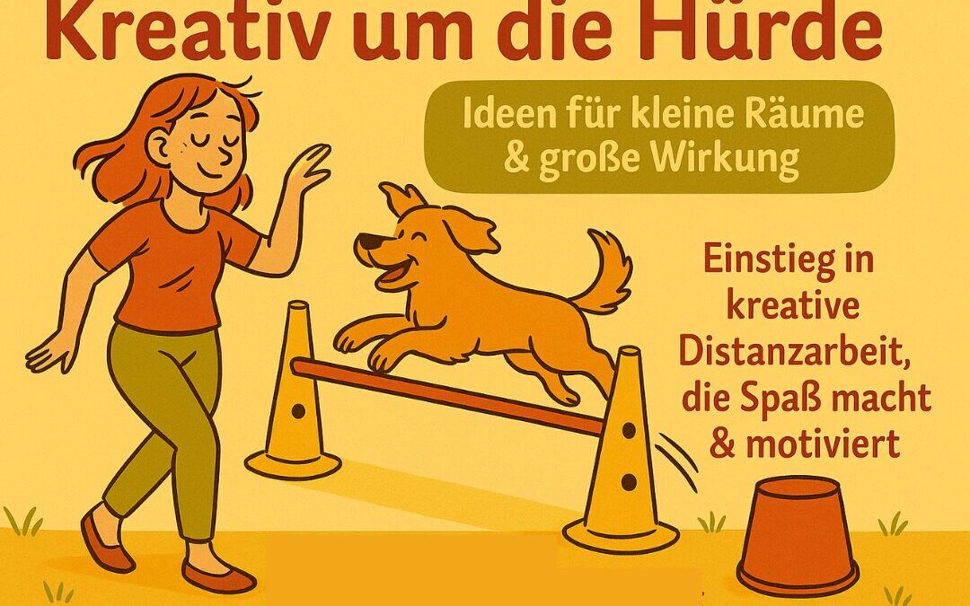 Kreativ um die Hürde – Ideen für kleine Räume mit großer Wirkung