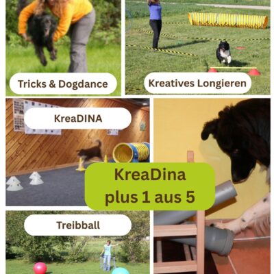 Halbjahres-Mitgliedschaft im KreaDINA-Club plus 1 weiterer Club nach Wahl - halbjährliche Zahlweise