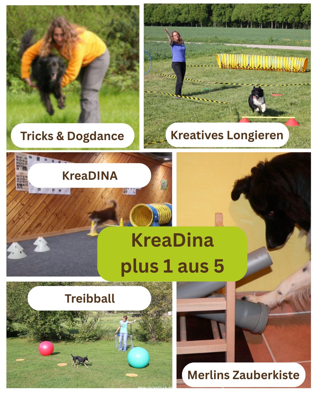 Collage - KreaDINA plus 1 aus 5 Clubs - Titel