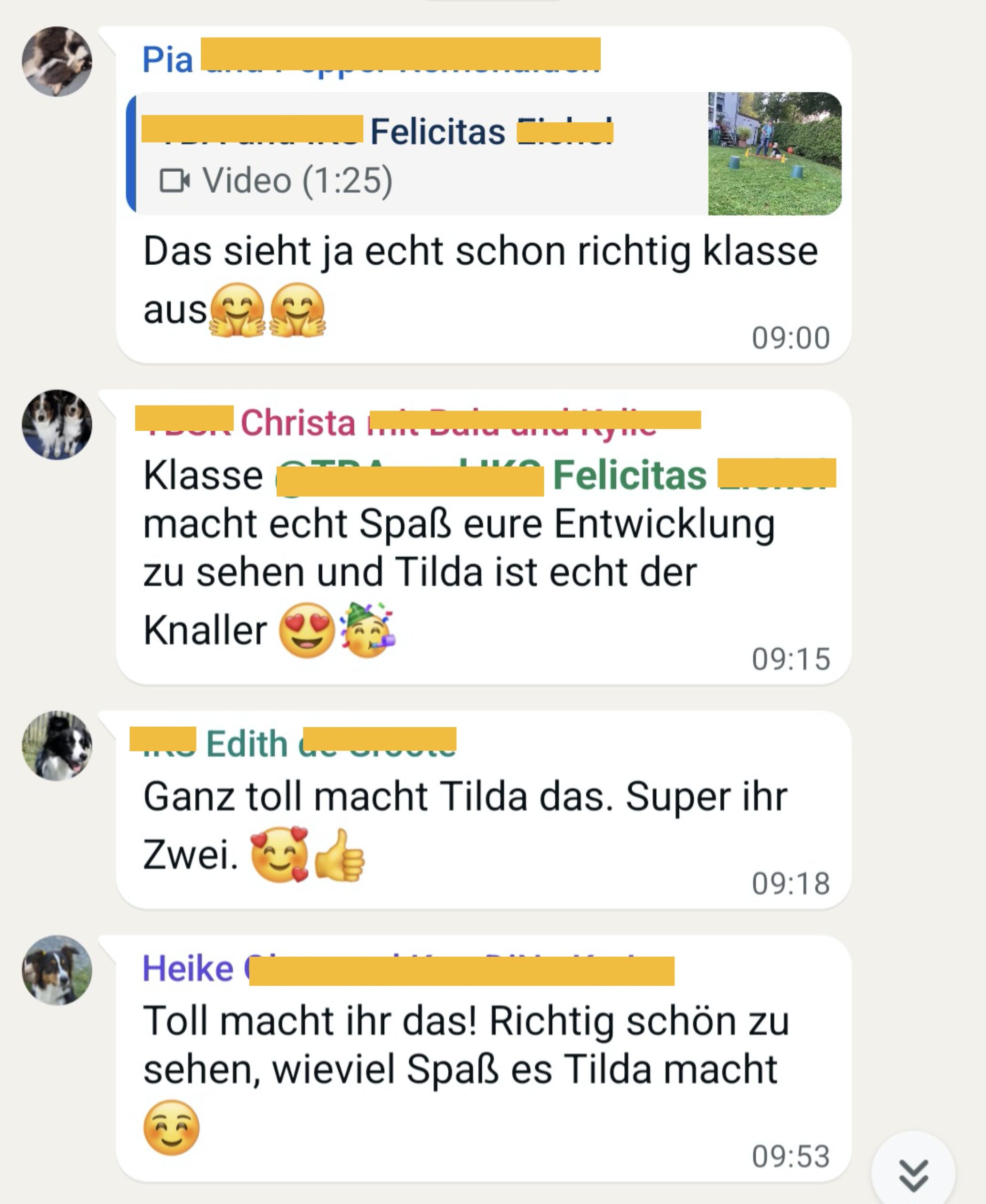 Whatsapp Feedback zu Tilda - mit Balken