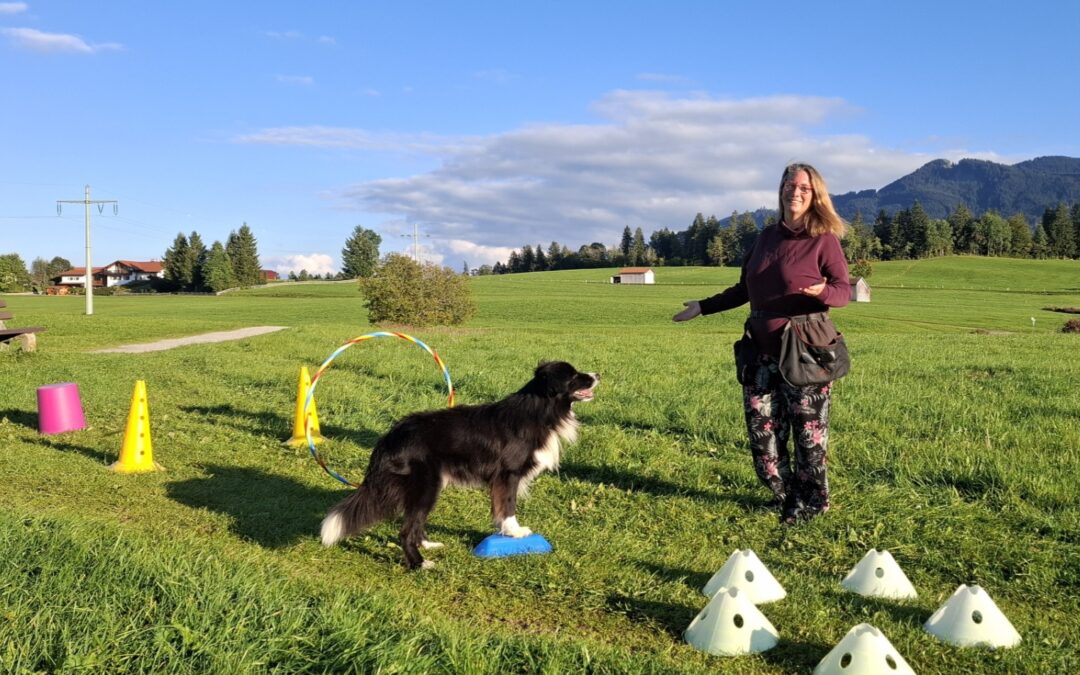 NEU: Kreative Distanzarbeit mit Impulskontolle, Nasenarbeit und Apportierspielen – Beginnerkurs – Dein Einstieg in KreaDINA