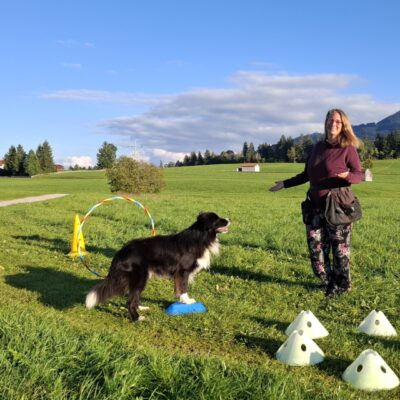 Beginnerkurs - Kreative Distanz-und Nasenarbeit - Von der Hürde zum Parcours – dein Einstieg in KreaDINA