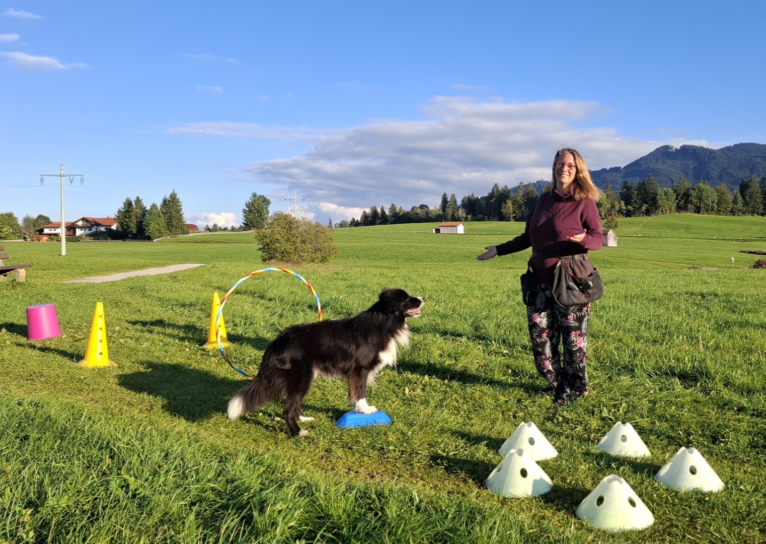 Beginnerkurs - Kreative Distanz-und Nasenarbeit - Von der Hürde zum Parcours – dein Einstieg in KreaDINA