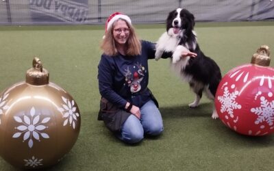 Unser erstes Dogdance-Turnier nach vielen Jahren – ein Comeback voller Improvisation, Herz & Chaos im Hundesportcenter Vöhringen