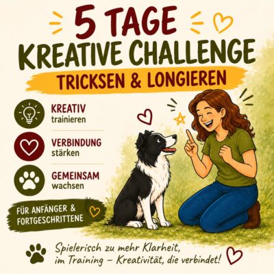 5 kreative Teamwork-Spiele - Kreative 5 Tage Challenge zum Tricksen und Longieren mit Hund