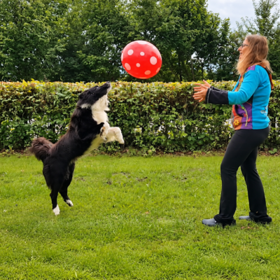 Wow-Tricks – 5 coole Tricks, die Eindruck machen